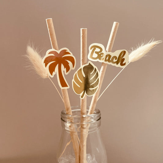 pailles cartonnées-gourde en verre-plumes-palmier-feuilles-beach-anniversaire enfant-thème plage